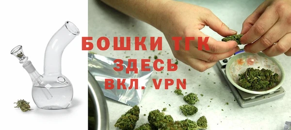 шишки Лиски