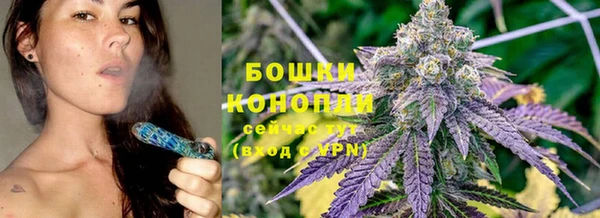 шишки Лиски
