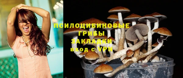 шишки Лиски